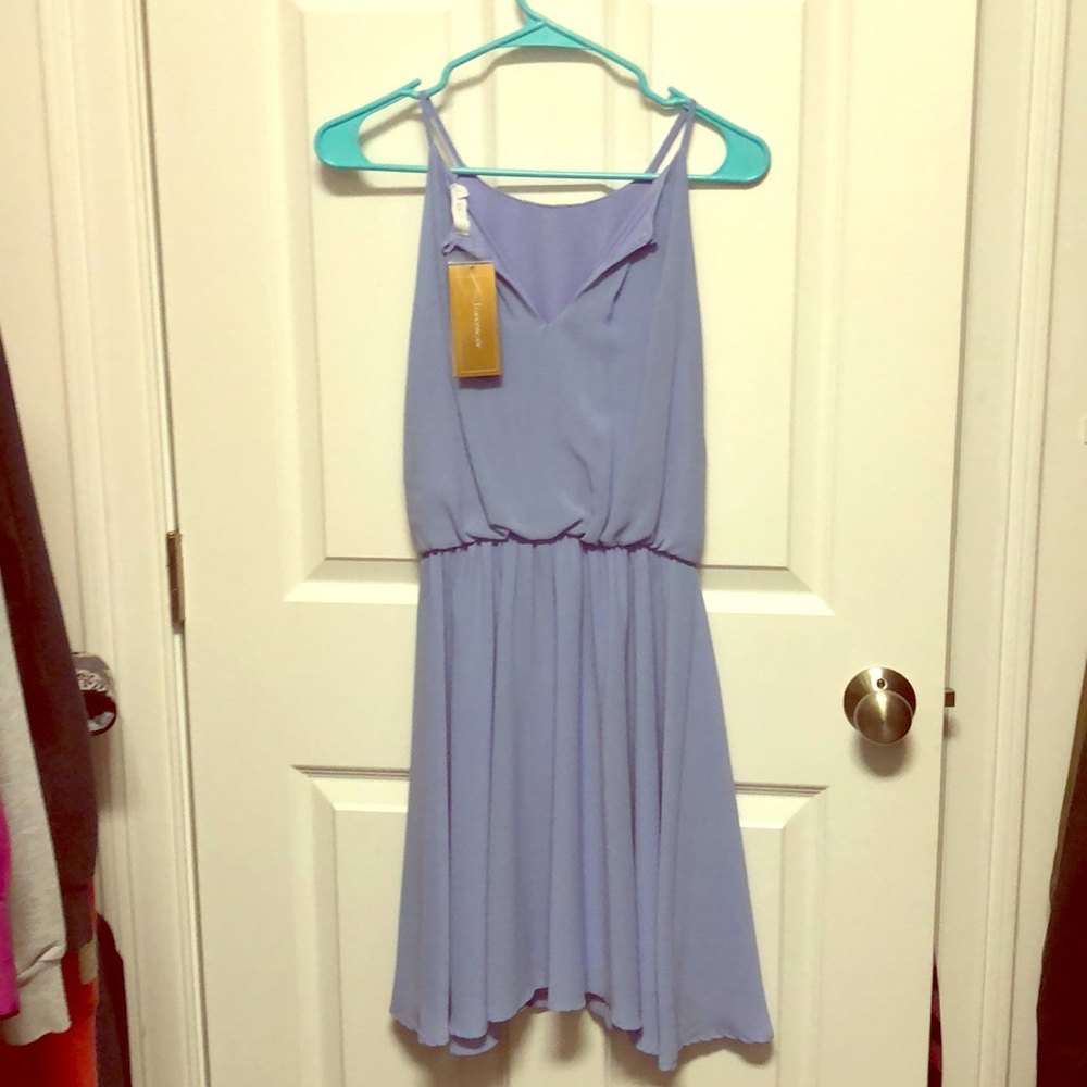 NWT Periwinkle dress